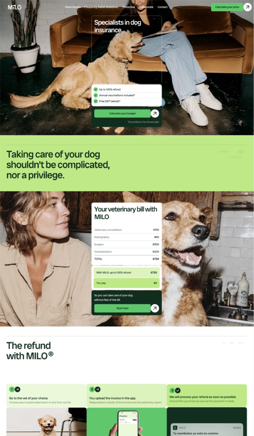 Lead-generating business website